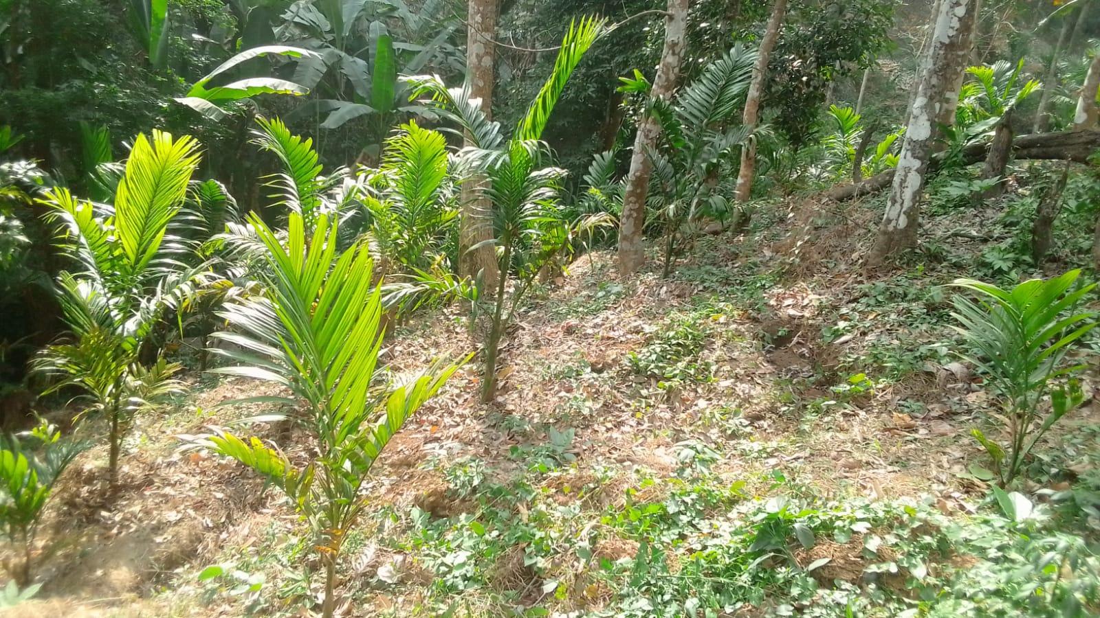 G:\VILLAGE REPORT PICTURES\mawker latest\WhatsApp Image 2023-02-06 at 12.53.48 (1).jpeg